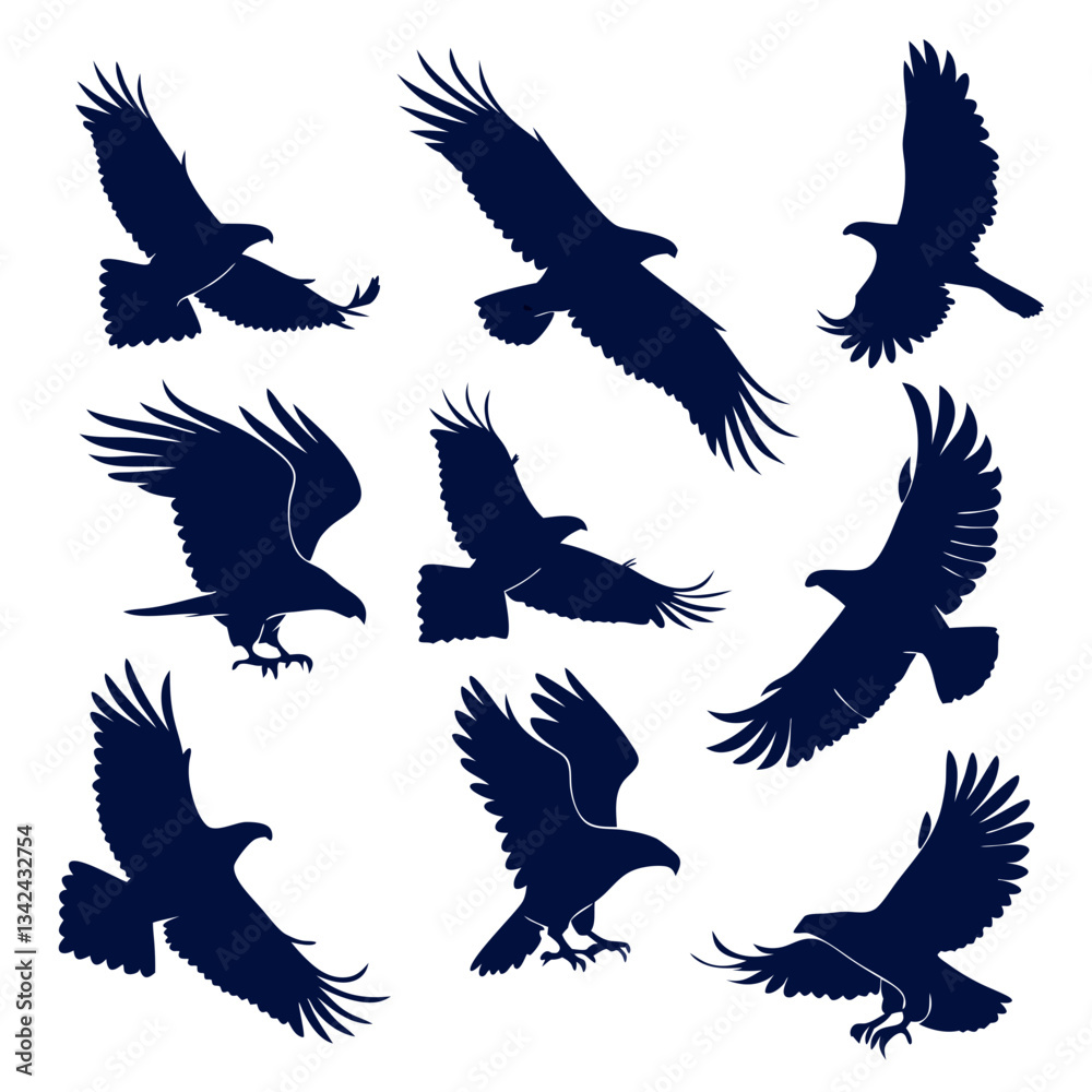 Obraz premium set of vector birds