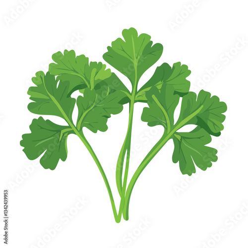 a Simple flat 2D icon cilantro isolated on a white background, vector, flat design, animation design, vector, flat design, animation design, simple flat 2D icon, minimalist design, vector design	