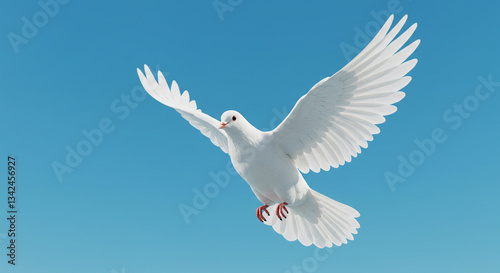 White dove in flight against a clear blue sky - Una paloma blanca en el cielo - Un pigeon blanc dans le ciel