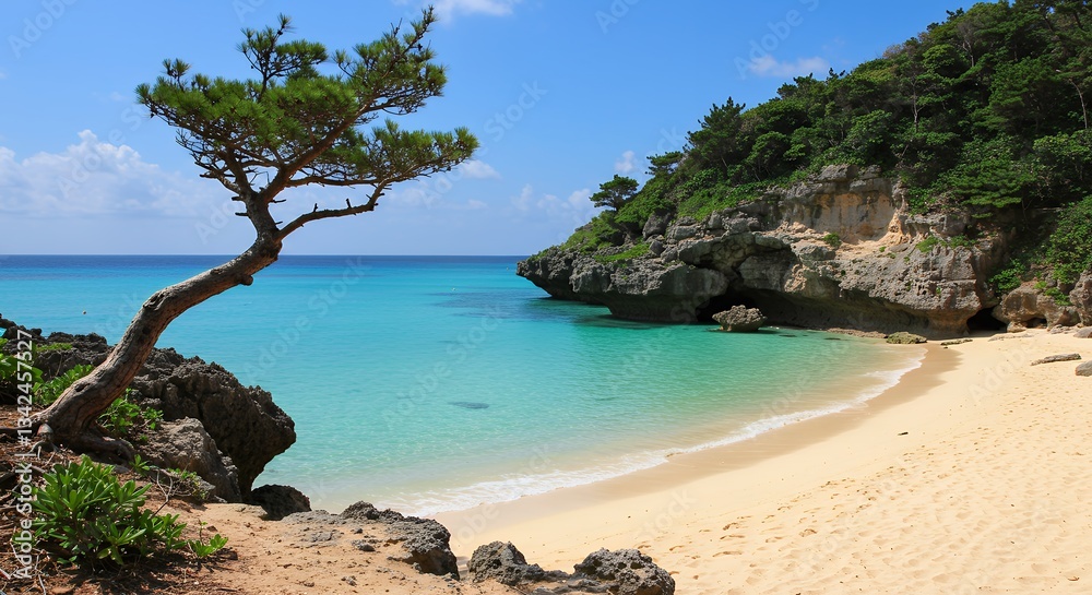 Fototapeta premium Secluded Tropical Beach Cove Turquoise Water Sandy Shore