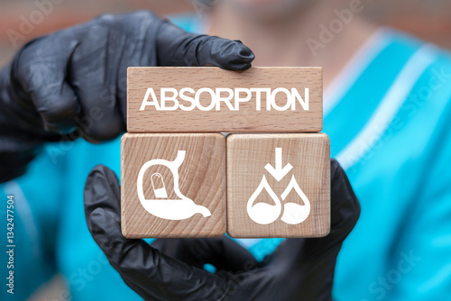 Doctor or nurse holding wooden blocks with icons sees word: ABSORPTION. Mechanism of nutrient absorption through digestive system and stomach. Absorption pills, drugs and antibiotics.