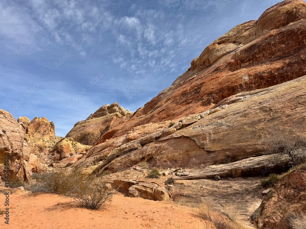 Fototapeta premium Desert formations 