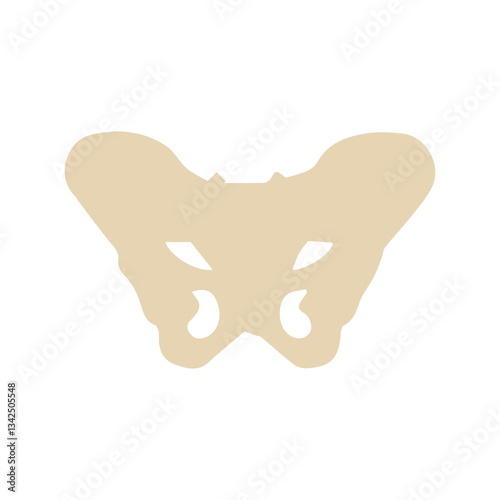 pelvis bone colored icon