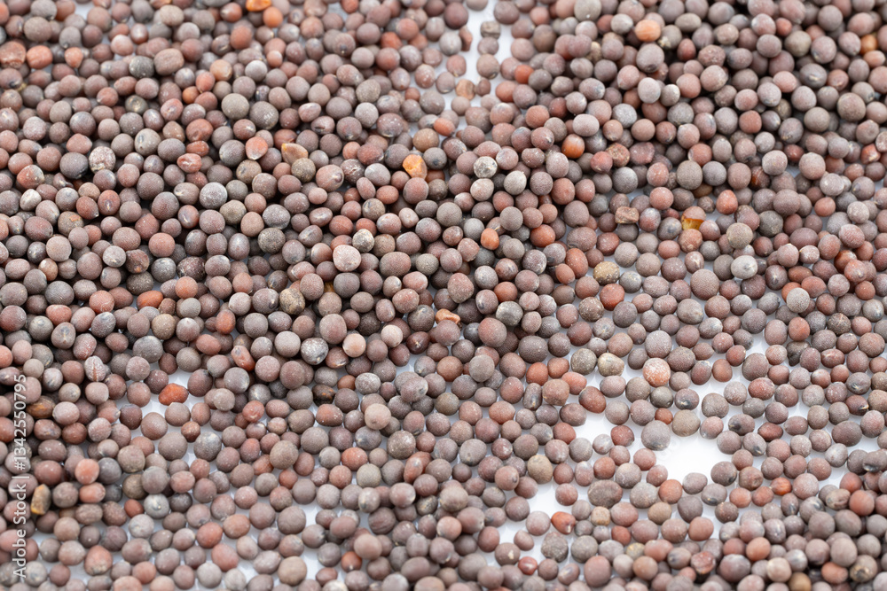 Immerse yourself in the intricate texture of these mustard seeds, captured in a detailed close-up. Immerse yourself in the intricate texture of these mustard seeds, captured in a detailed close-up.