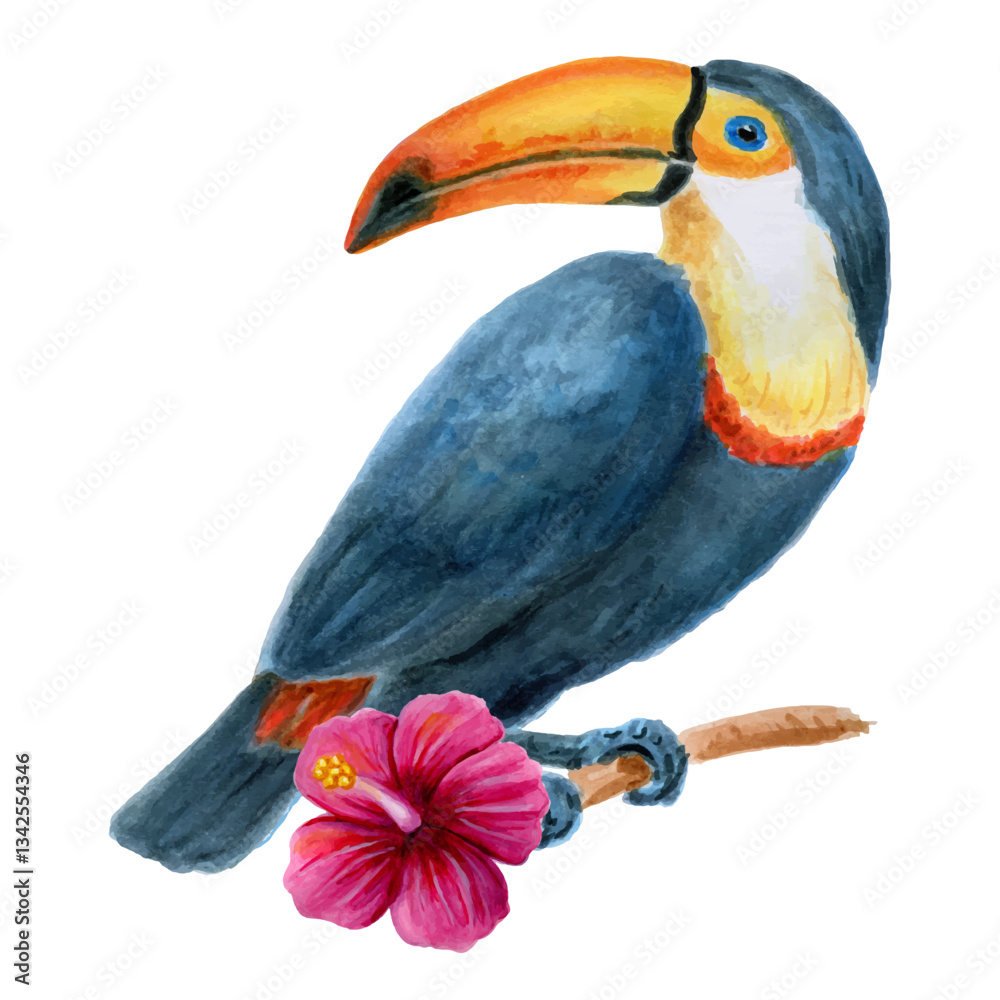 Fototapeta premium Toucan Bird sits on a branch with hibiscus flower. Hand drawn watercolor painting isolated on white background. Vestor element design.