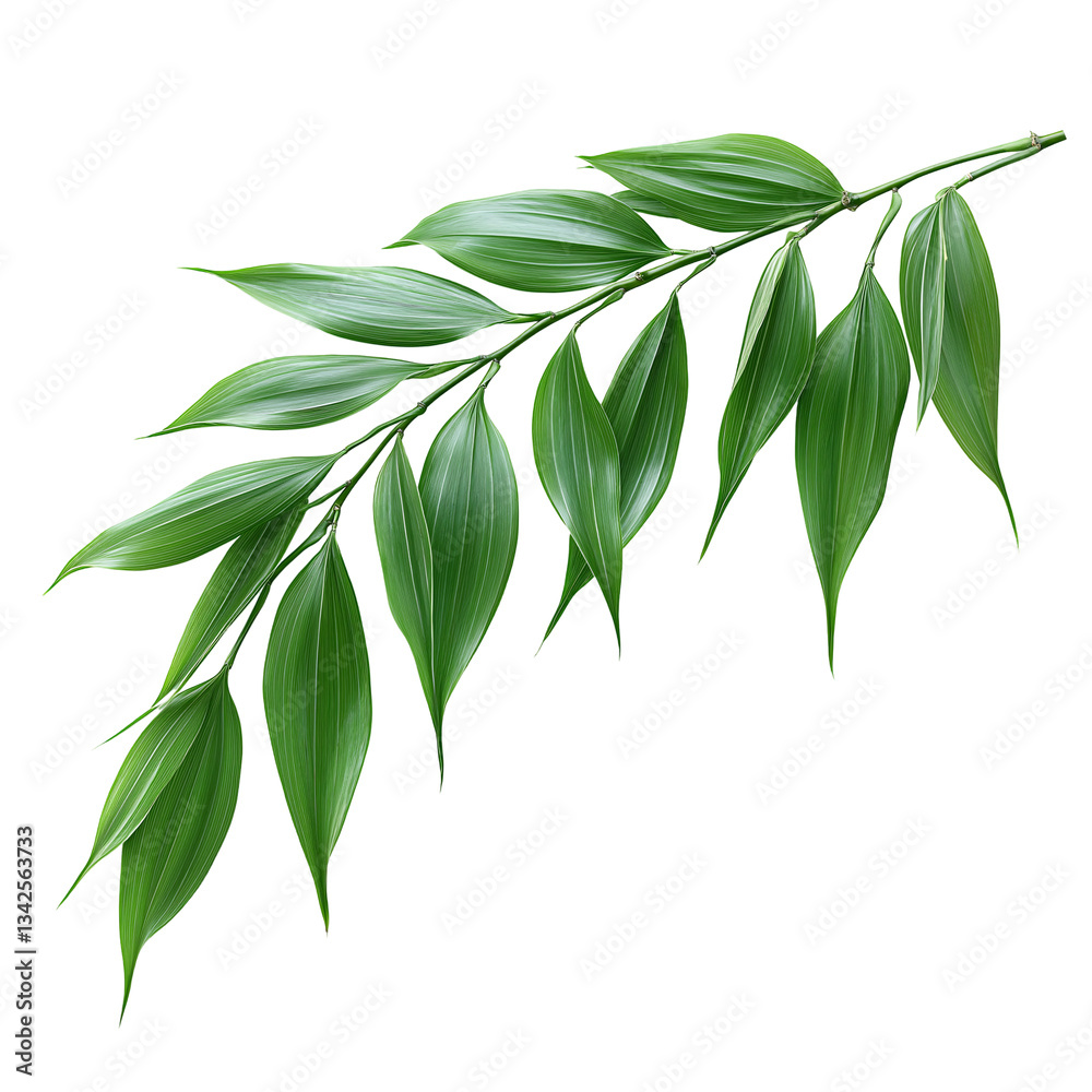 Fototapeta premium Vibrant Green Leaf and Branch - Organic Nature Close-Up for Eco-Friendly Botanical Design