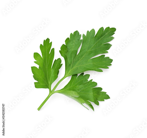 Sprig of fresh parsley isolated on white, top view