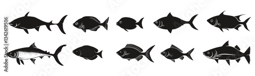 Set of different fish silhouette