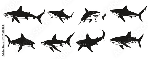Shark outlined silhouette collection