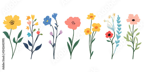 A set of cute wildflowers, a flat vector illustration, simple, on a white background