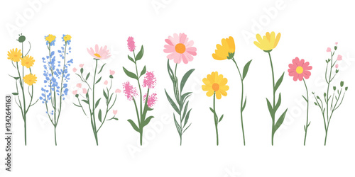 A set of cute wildflowers, a flat vector illustration, simple, on a white background