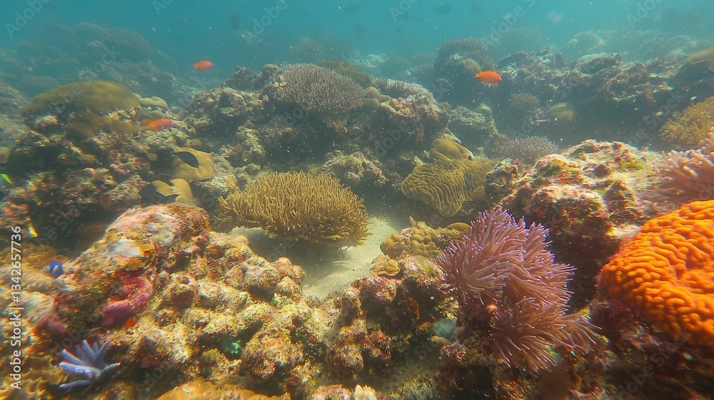 Vibrant Coral Reef Beneath Clear Ocean Waters Teeming with Life
