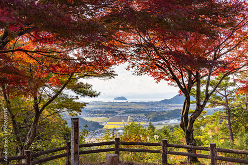 滋賀県望笙峠の紅葉越しに広がる琵琶湖と島の眺め