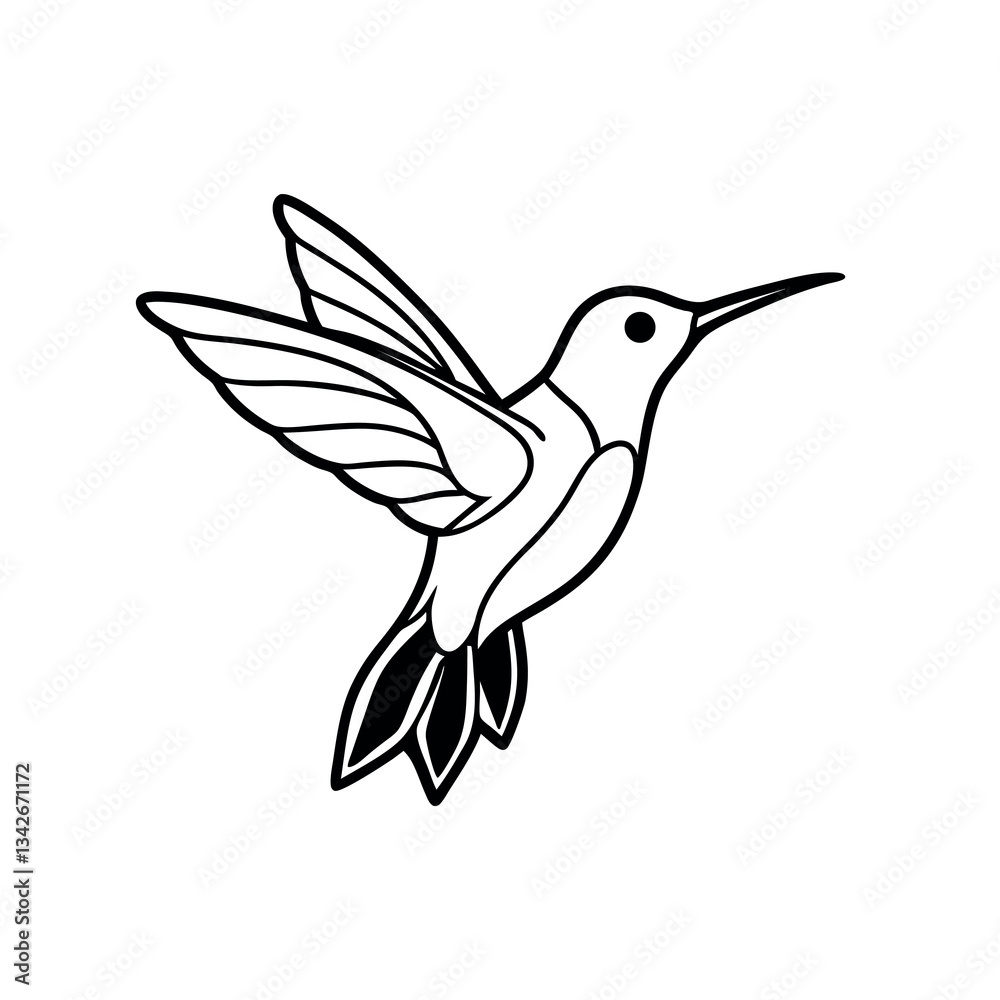Obraz premium hummingbird on white background