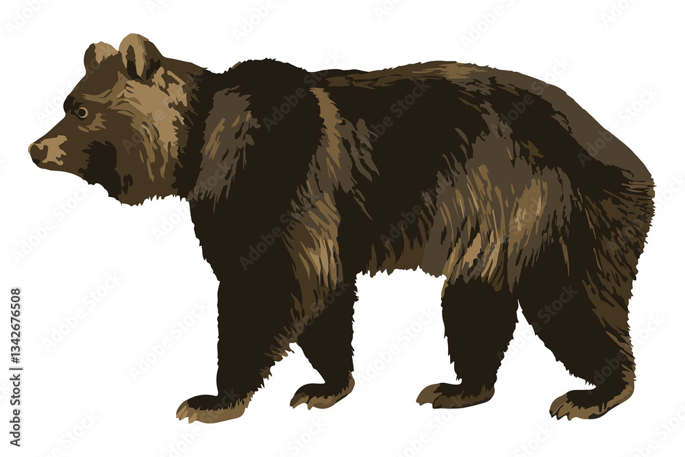 Obraz premium Vectorized grizzly bear sticker overlay design element