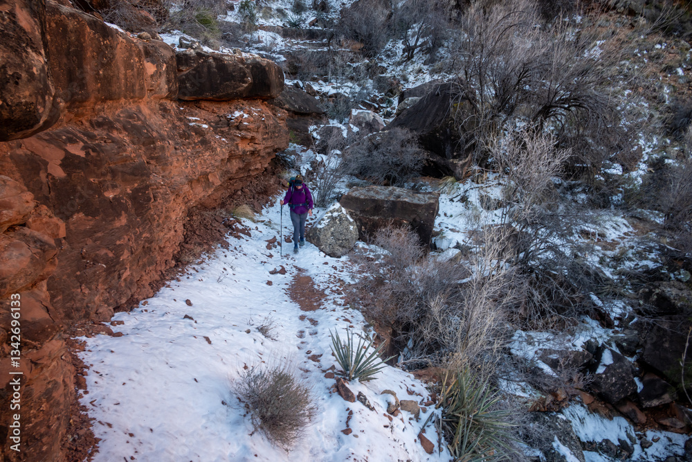 Hiker Gingerly Crossing Snowy Boucher Trail