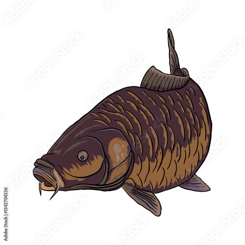 carp fishing illustration logo vector image t shirt