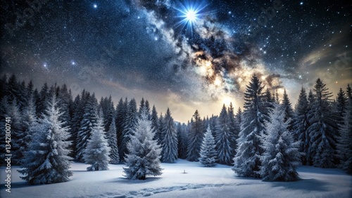 Winter Forest Under a Starry Night Sky