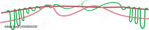 Twisted Branch with Green Vine