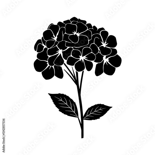 Black Silhouette of a Hydrangea Flower with Multiple Petals, Stem, Leaves, Floral Arrangements, Gardening, Aesthetic of Flowerbeds and Garden Shrubs in a Serene, Outdoor Setting