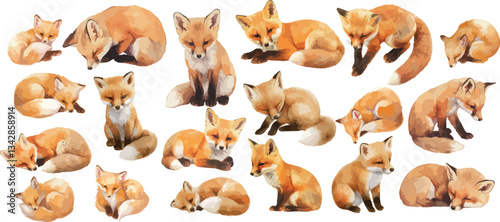 baby fox watercolor clipart
