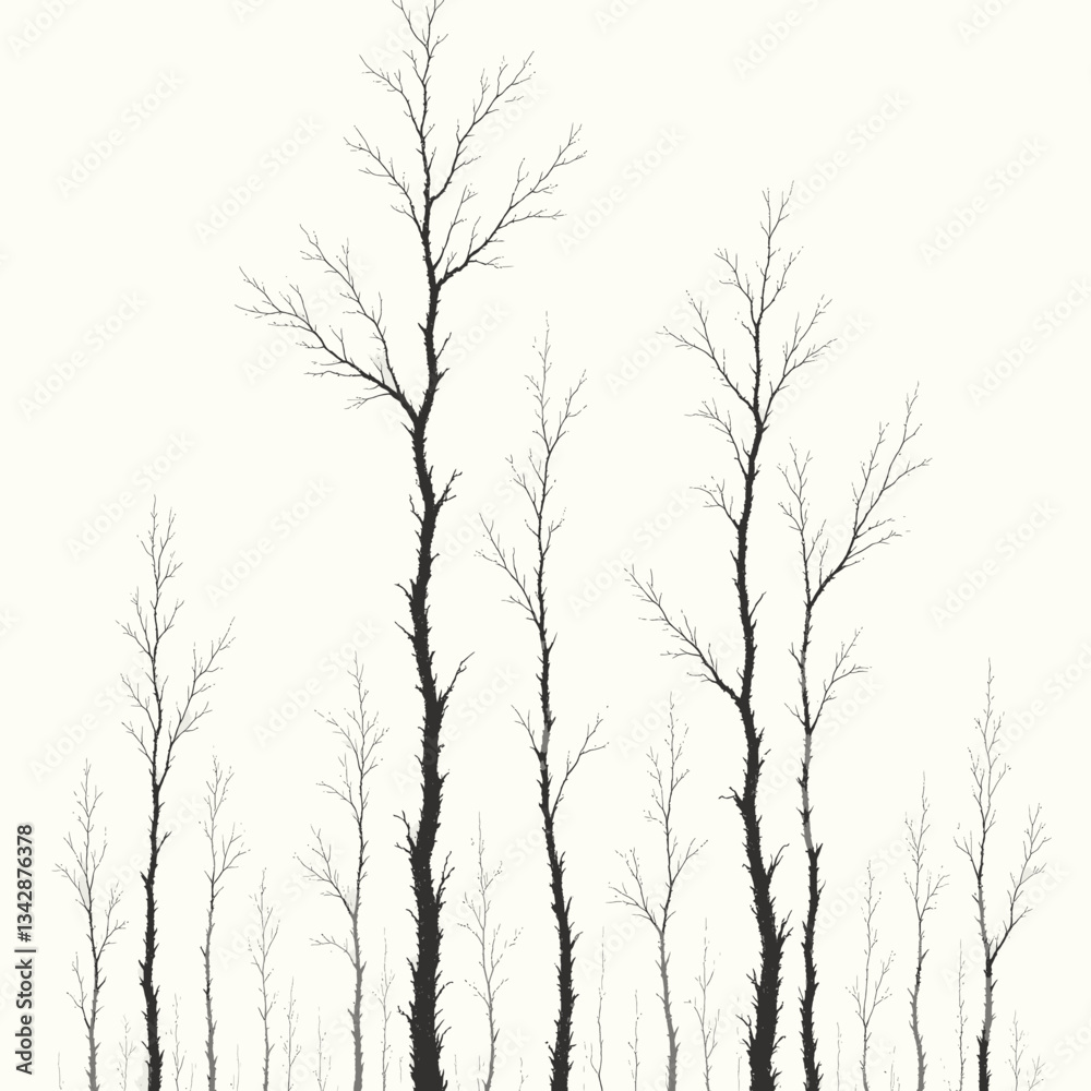 Obraz premium Sparse bare trees in a white monochrome forest scene