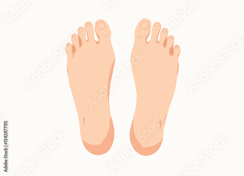 Top View: Human Feet on White Background