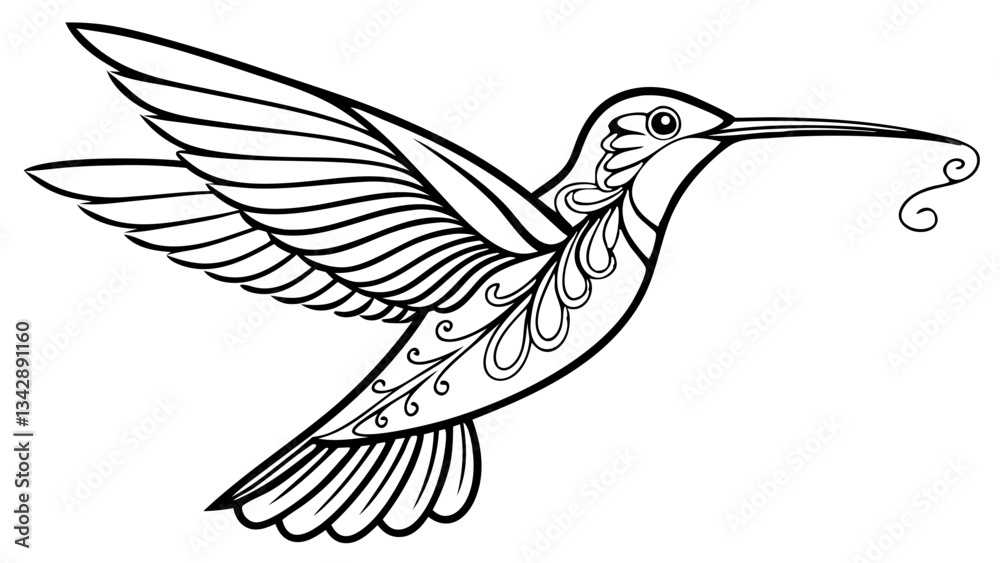 Fototapeta premium Elegant Hummingbird Line Art Outline drawing vector illustration isolated on transparent background outline images for kids