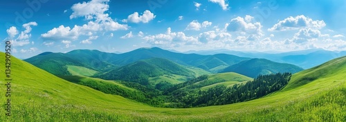 Lush Mountain Meadow Under a Sunny Sky (3)