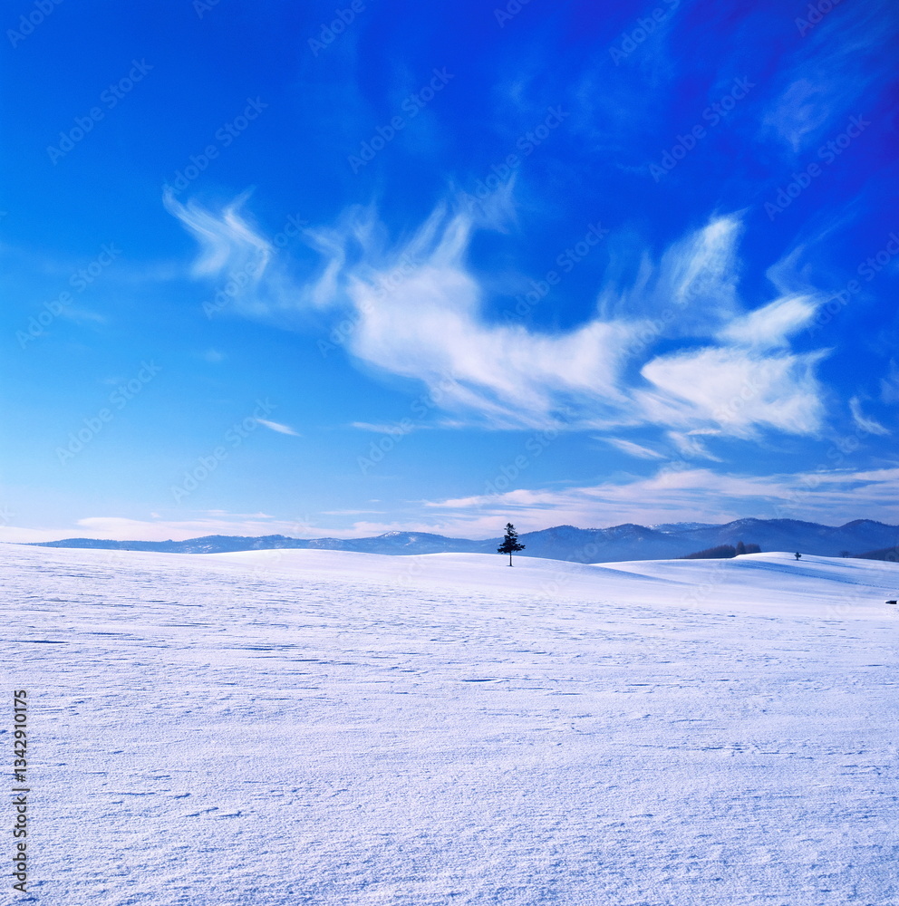 Obraz premium 雪原の丘と雲（美瑛町）