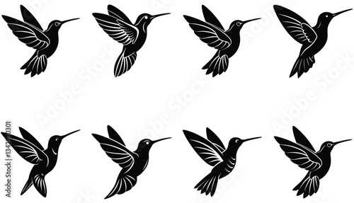 Hummingbird Icon on Flat Color Circle Buttons. Hummingbird Vector Shilhouette Bundle Set Collection.