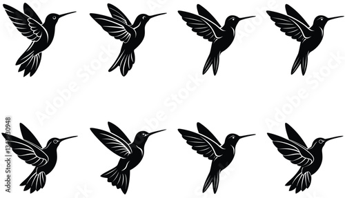 Hummingbird Icon on Flat Color Circle Buttons. Hummingbird Vector Shilhouette Bundle Set Collection.