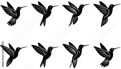 Hummingbird Icon on Flat Color Circle Buttons. Hummingbird Vector Shilhouette Bundle Set Collection.