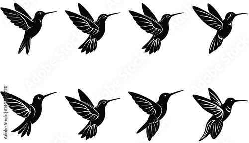 Hummingbird Icon on Flat Color Circle Buttons. Hummingbird Vector Shilhouette Bundle Set Collection.