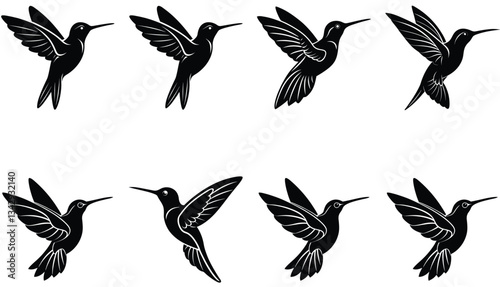 Hummingbird Icon on Flat Color Circle Buttons. Hummingbird Vector Shilhouette Bundle Set Collection.