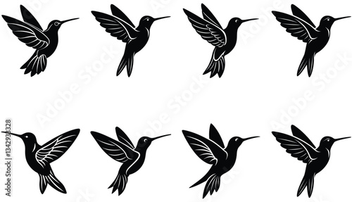 Hummingbird Icon on Flat Color Circle Buttons. Hummingbird Vector Shilhouette Bundle Set Collection.