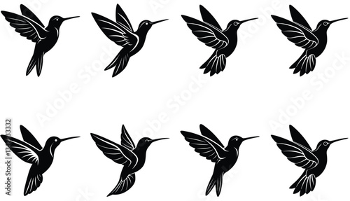 Hummingbird Icon on Flat Color Circle Buttons. Hummingbird Vector Shilhouette Bundle Set Collection.