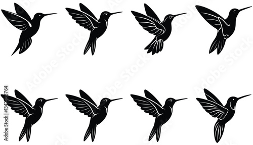 Hummingbird Icon on Flat Color Circle Buttons. Hummingbird Vector Shilhouette Bundle Set Collection.