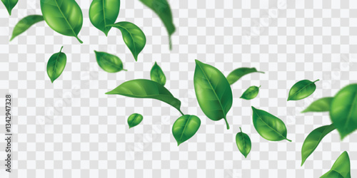 Flying green leaves on transparent background - realistic 3d illustration of scattered foliage elements. Detailed leaf texture with blur effect. Decorative botanical vector design. Floating foliage.