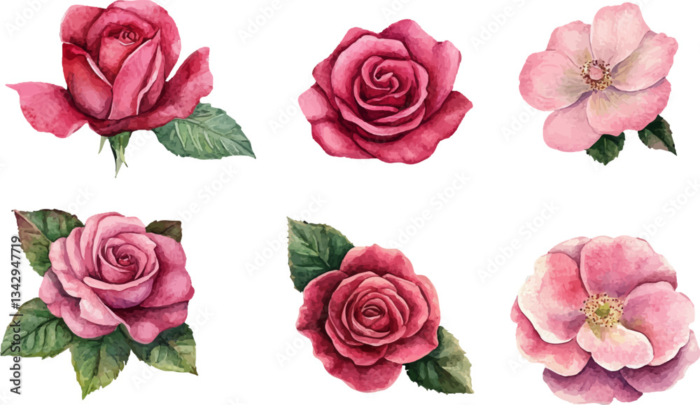 Naklejka premium Floral Watercolor Pink Rose Art