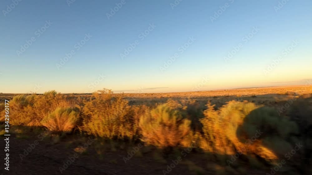 Arizona Driving 2922 Petrified Forest National Park Arizona Driving 2922 Petrified Forest National Park