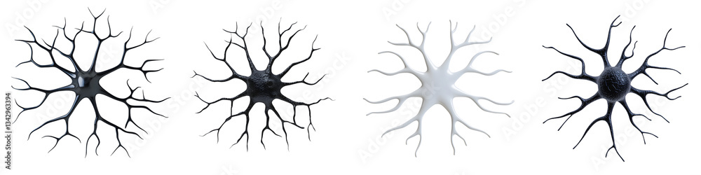 Detailed microscopic view of diverse neuron structures the fundamental signaling units of the complex and interconnected human brain and nervous system Detailed microscopic view of diverse neuron structures the fundamental signaling units of the complex and interconnected human brain and nervous system