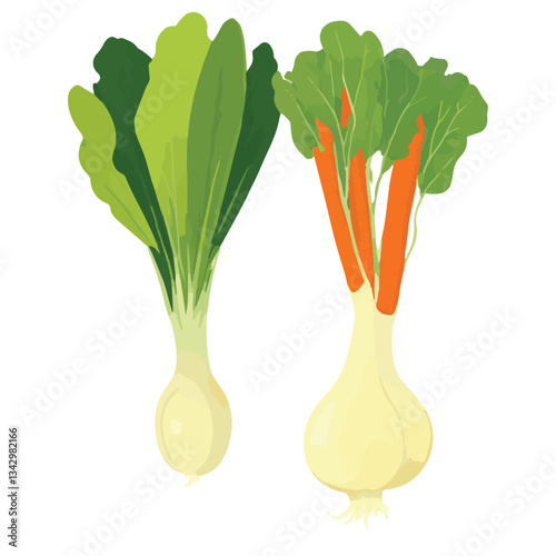 food, fresh, diet, organic, healthy, background, vegetable, green, garden, health, vegetarian, tomato, vegetables, farm, natural, nutrition, carrot, ingredient, agriculture, vegan, harvest, vitamin, f