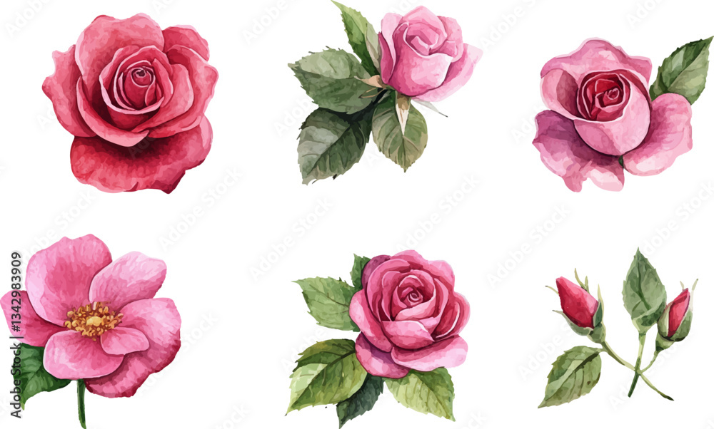 Naklejka premium Floral Watercolor Pink Rose Art