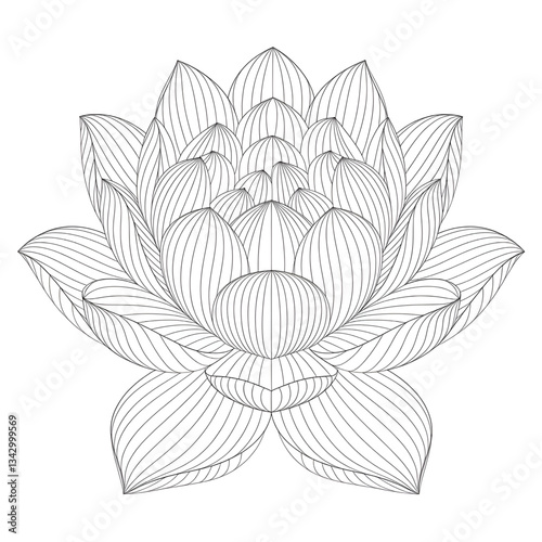 vector illustration of lotus coloring page 
