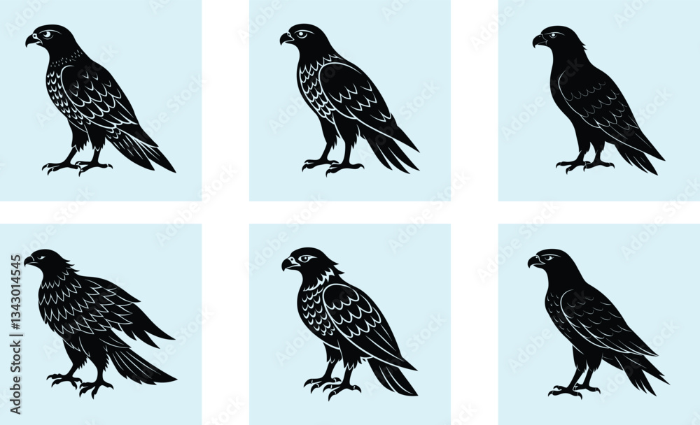 Fototapeta premium Hawk Silhouette vector