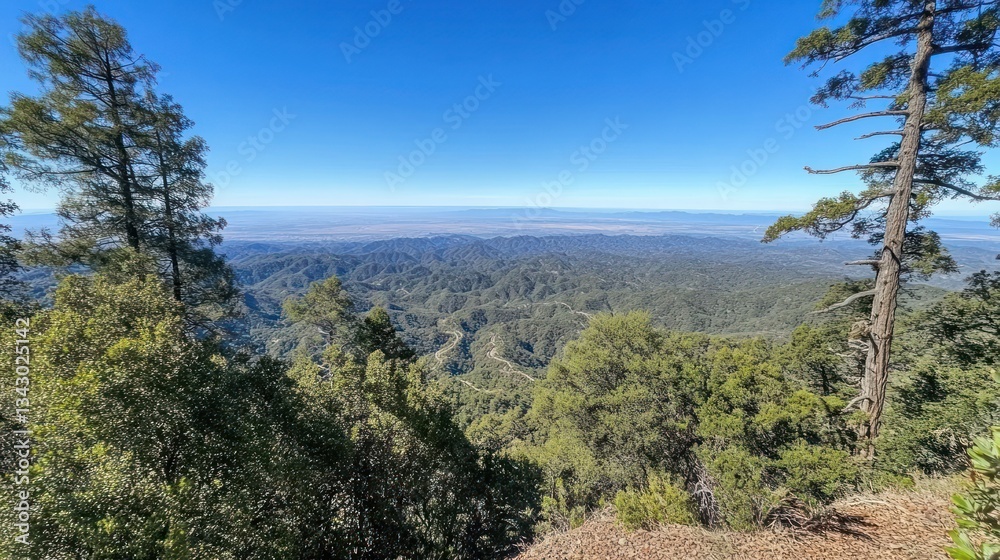Panoramic mountain vista, dense forest, and valley Panoramic mountain vista, dense forest, and valley
