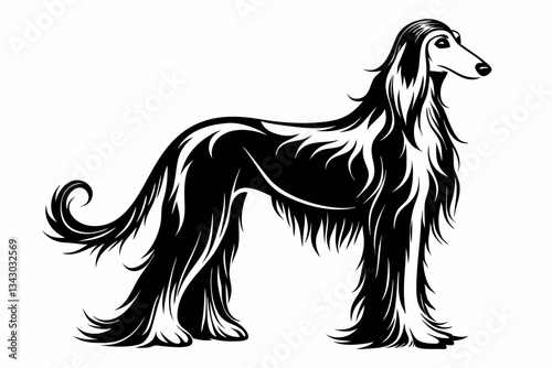 afghan hound line art silhouette vector illustration