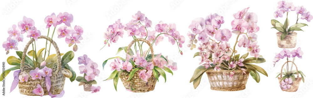 Obraz premium orchid basket watercolor clipart