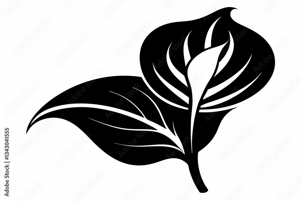 Obraz premium calla lily flower leaf line art silhouette vector illustration
